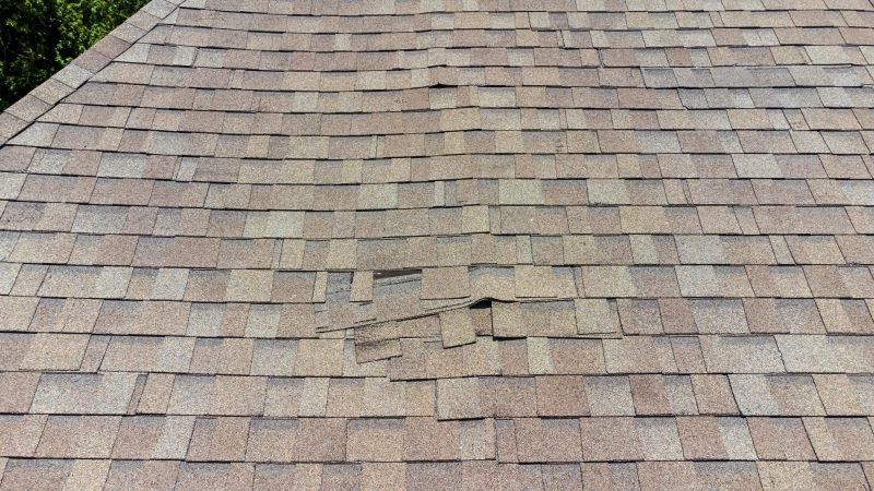 Asphalt Roof Inspection in New Cumberland, PA
