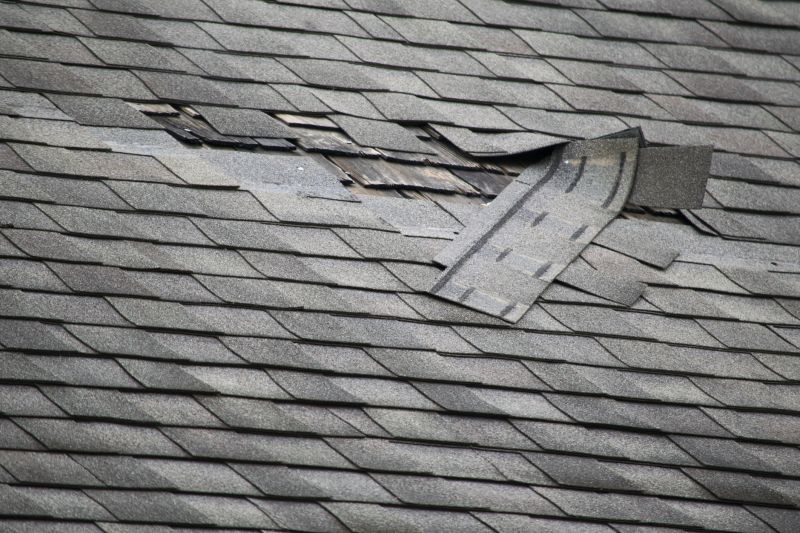 Asphalt Roof Repair in Mifflintown, PA