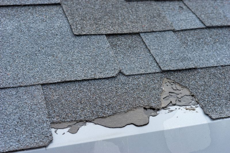 Damaged Roof Repair in Harrisburg, PA