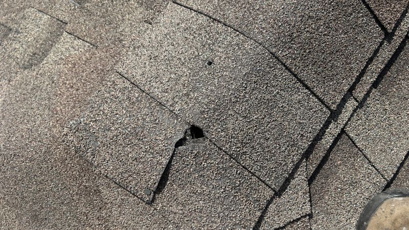 Damaged Roof Repair in Newville, PA