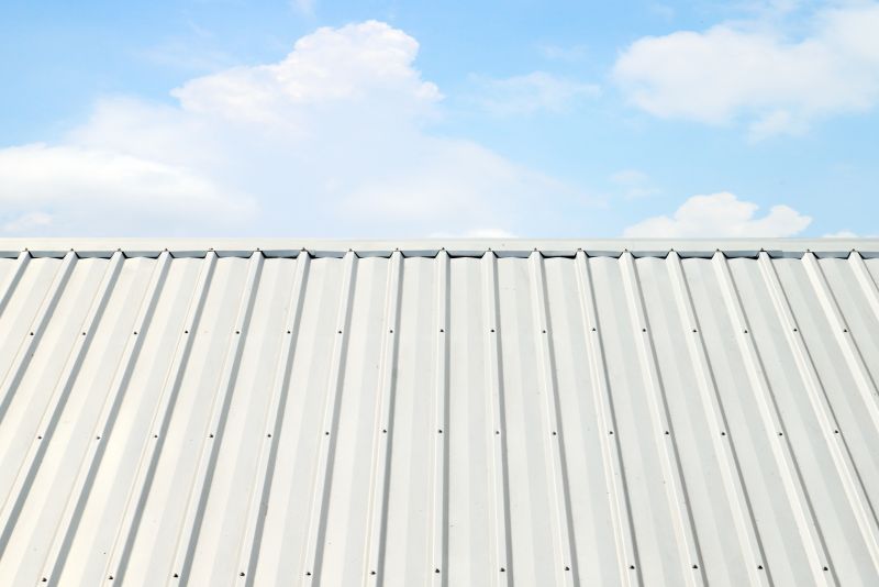 Metal Roof Coating Service in Perry County, PA