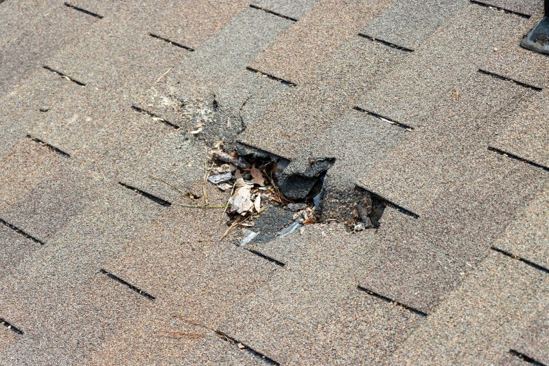 Shingle Roof Replacement in Hershey, PA